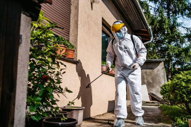 Best Emergency Pest Control  in Mount Prospect, IL