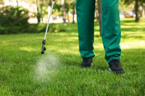 Best Pest Control Near Me  in Mount Prospect, IL