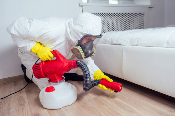 Professional Pest Control in Mount Prospect, IL