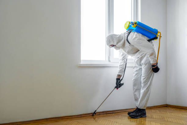 Best Wildlife Control Services  in Mount Prospect, IL