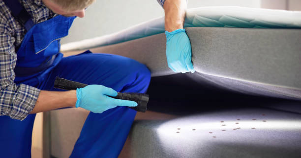 Best Cockroach Control Services  in Mount Prospect, IL