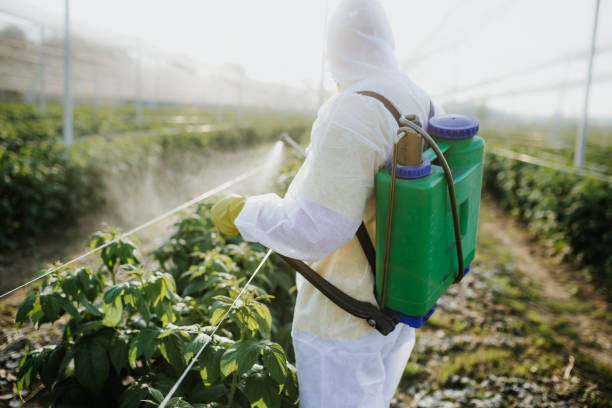 Best Mosquito Control Services  in Mount Prospect, IL